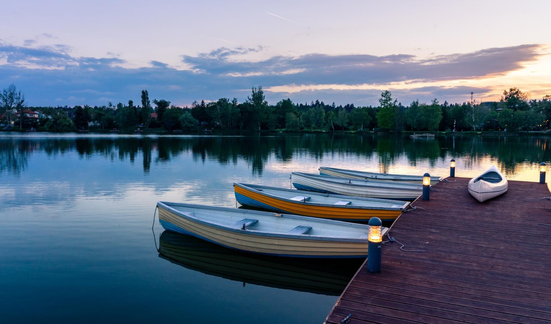 Bexley Apartments Land O Lakes